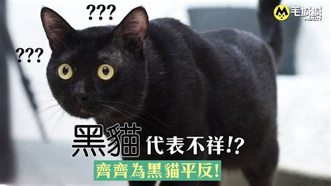 黑貓代表什麼 正面看不到耳朵男